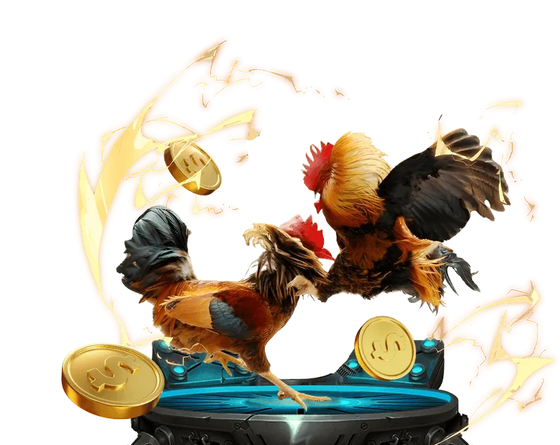 Hỗ trợ khách hàng 88ck